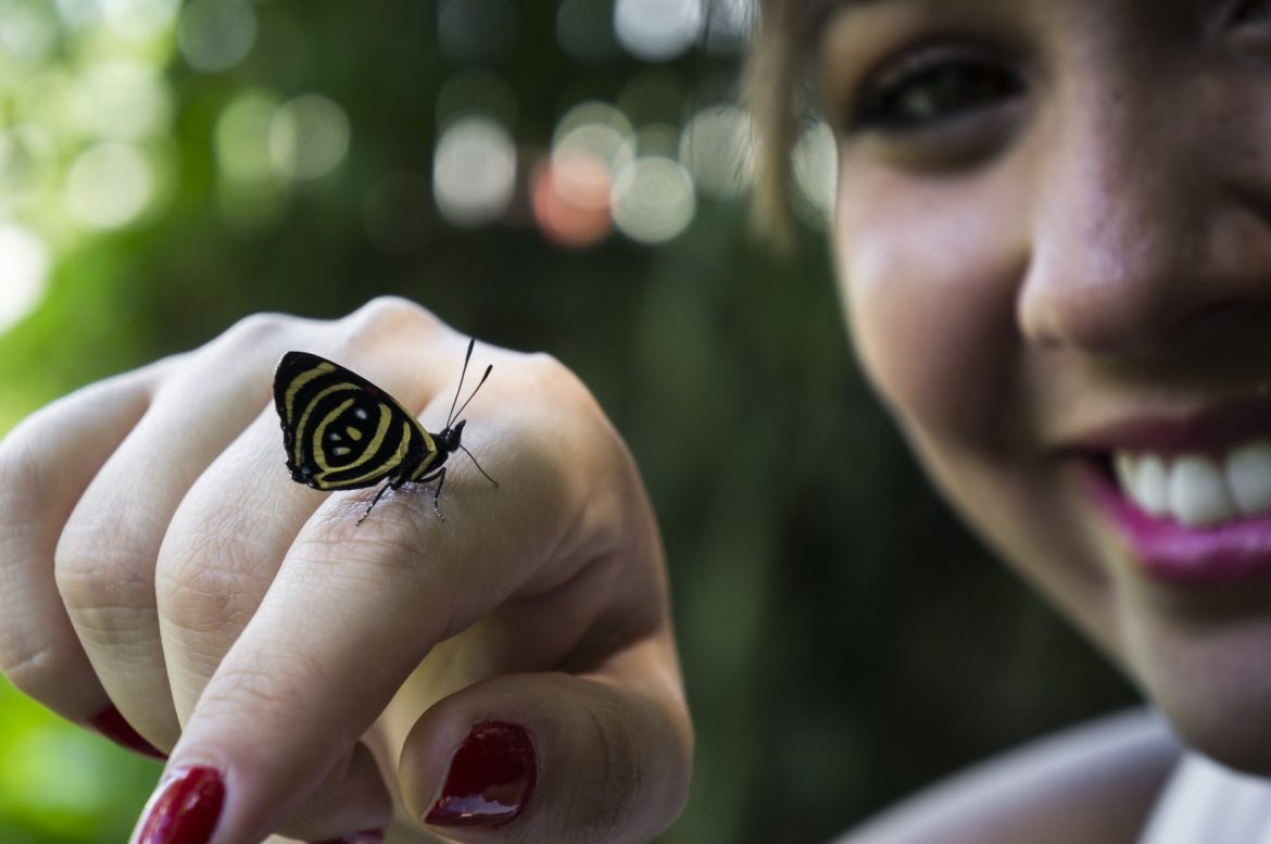 Mulher com borboleta na mão