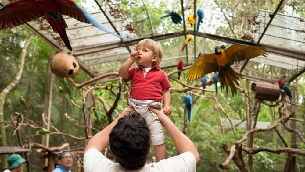 Foz do Iguaçu com as crianças - Parque das Aves