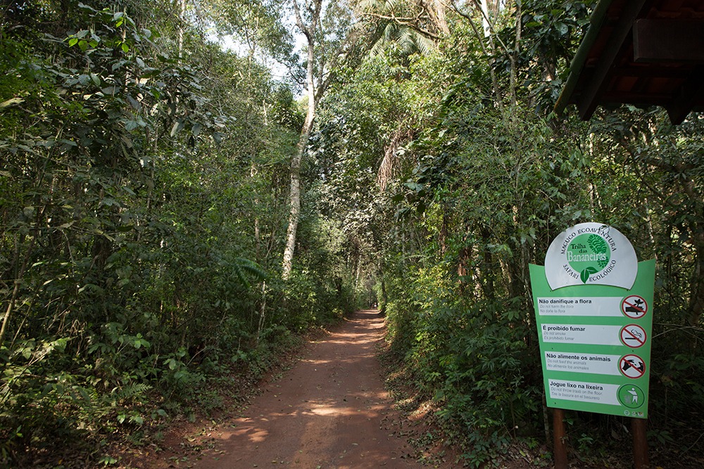 Trilha das Bananeiras - Parque Nacional do Iguaçu