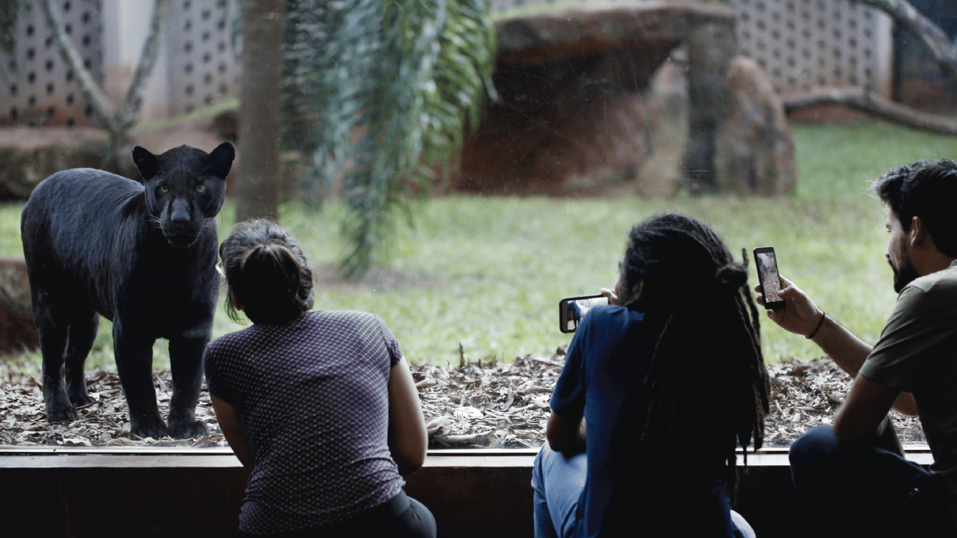 Itaipu em Foz