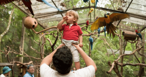 Pai e filho no Parque das Aves