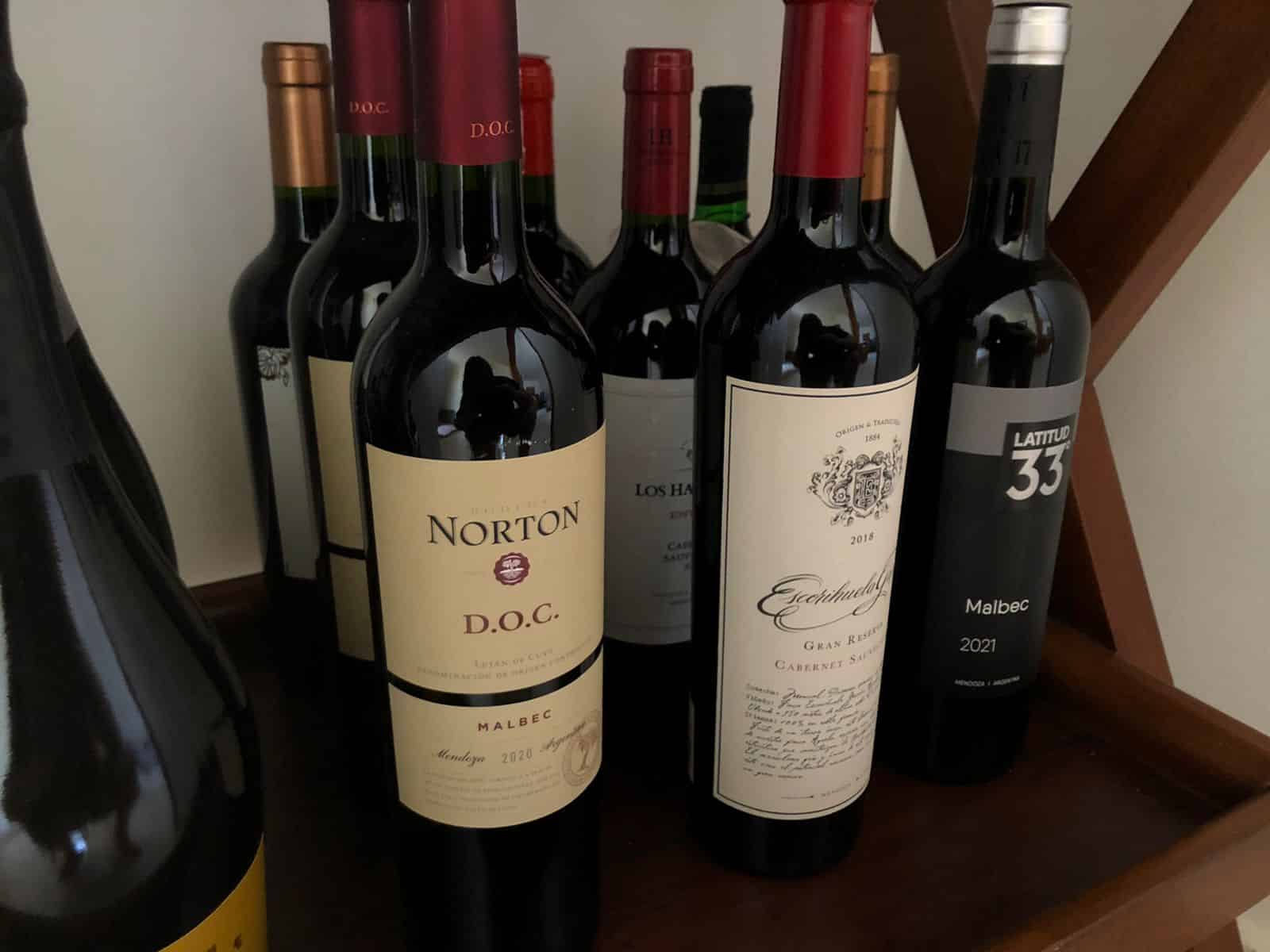 Vinhos argentinos