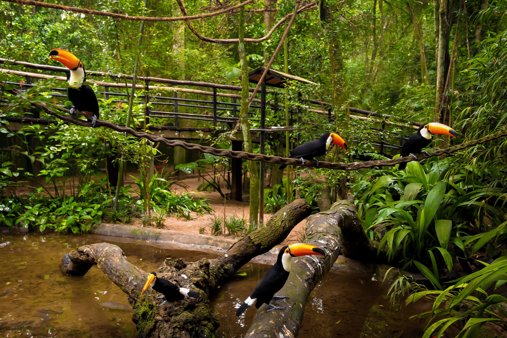 Brasil para Ecoturismo