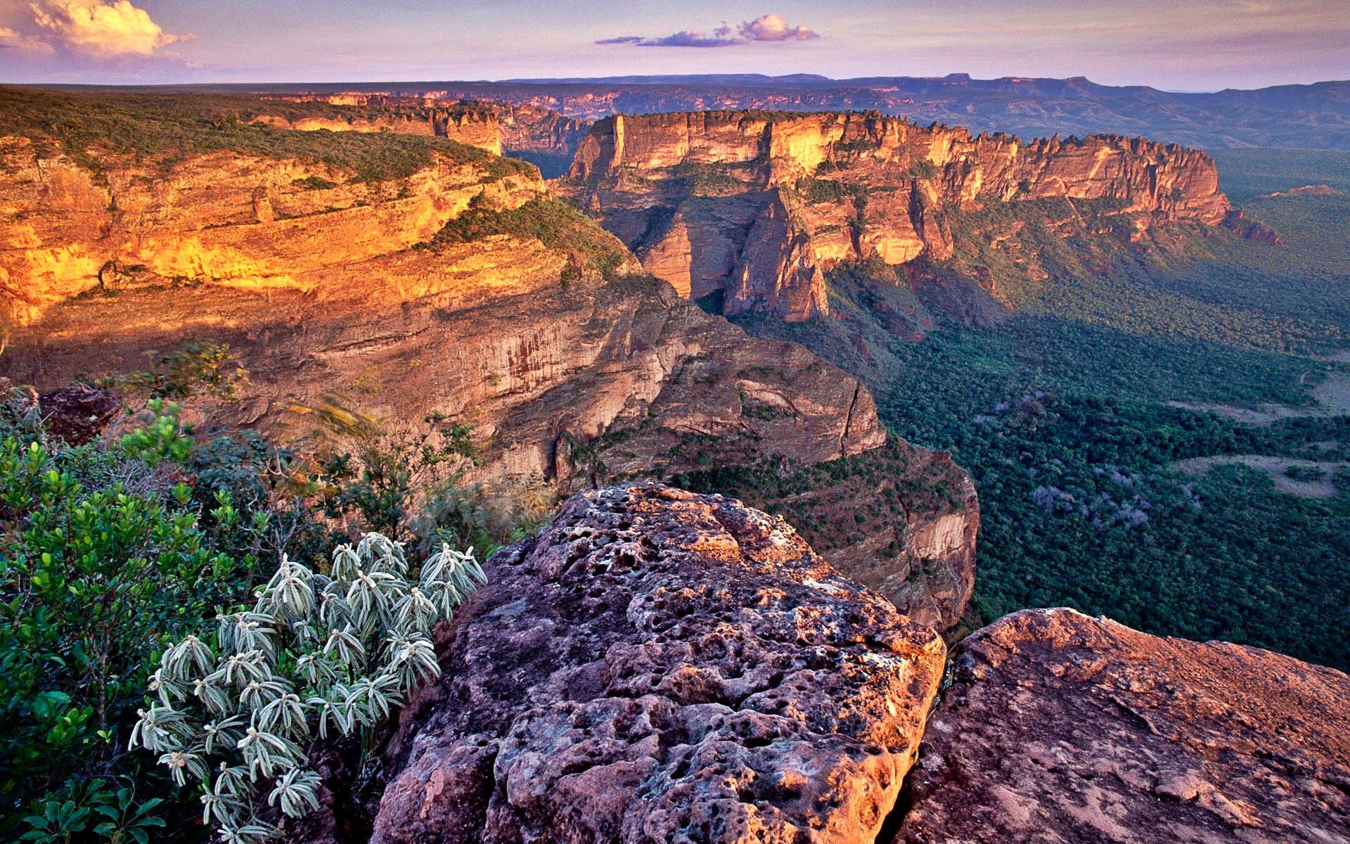 Brasil para Ecoturismo