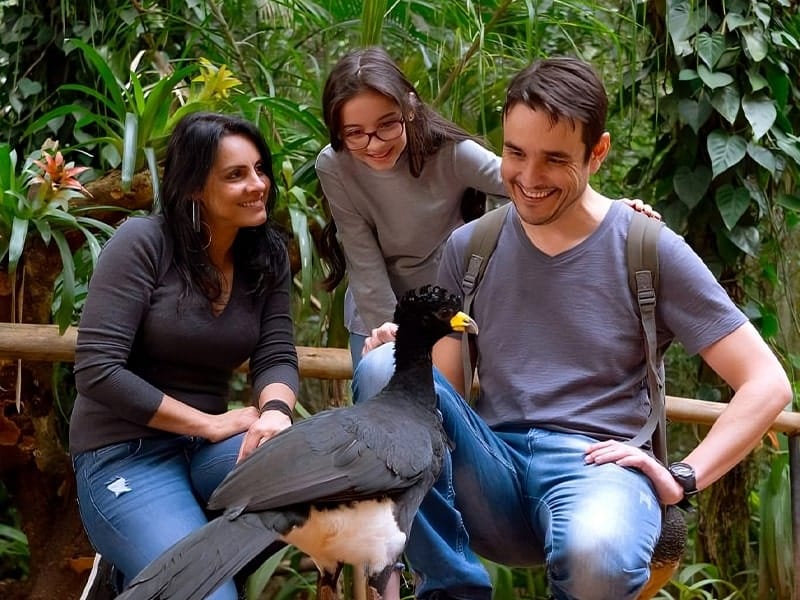 explore-foz-do-iguacu